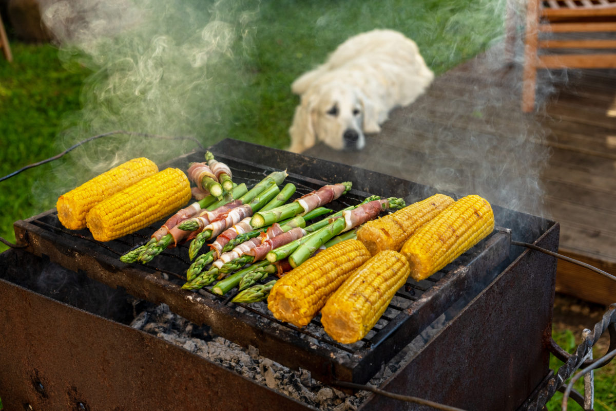 dog-bbq-1200x800.jpg