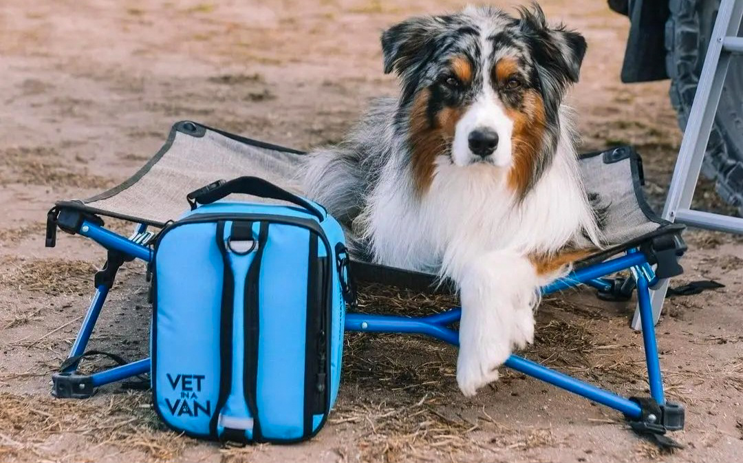 VIAV-Navigator-pet-first-aid-kit.jpg