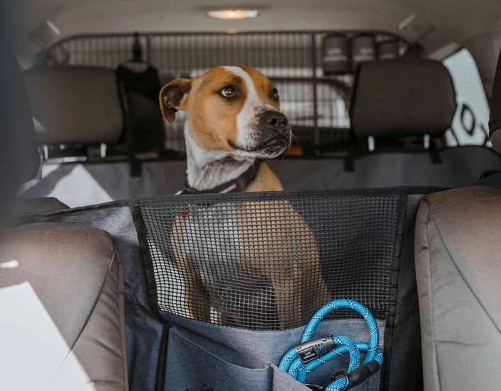 Get 15% discount on Navigator pet gear.
