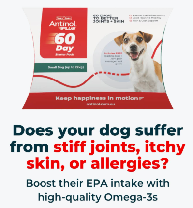 Get 5-10% off joint, skin and gut supplements from Vetz Petz